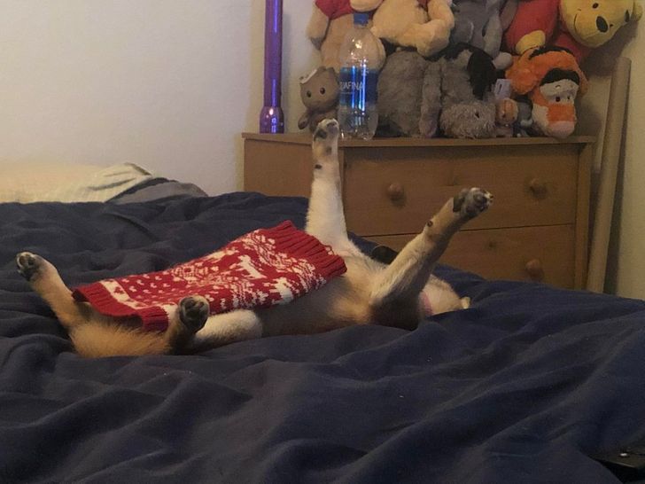 c2914254f4a584aa5e822cb6f4