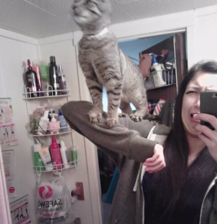 c2984759698a93e87f20da60e6