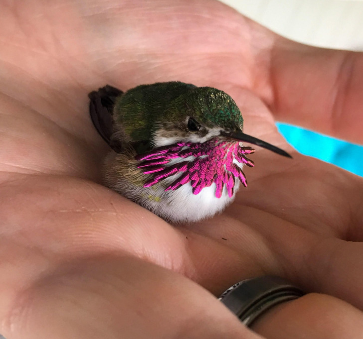 c29bbc5c9081656db9f02fbce8 c29bbc5c9081656db9f02fbce8