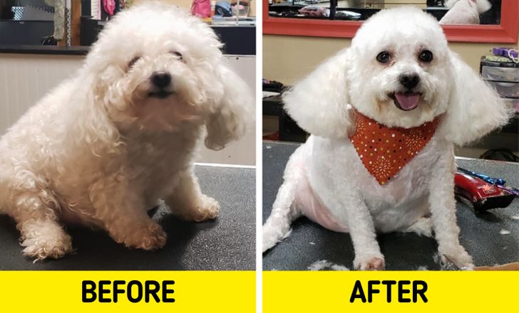 c29ff6531fb9a2620972b684e7 c29ff6531fb9a2620972b684e7