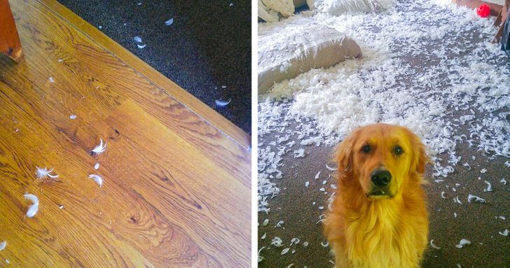 c2a5db5329b9c47da4e210d141