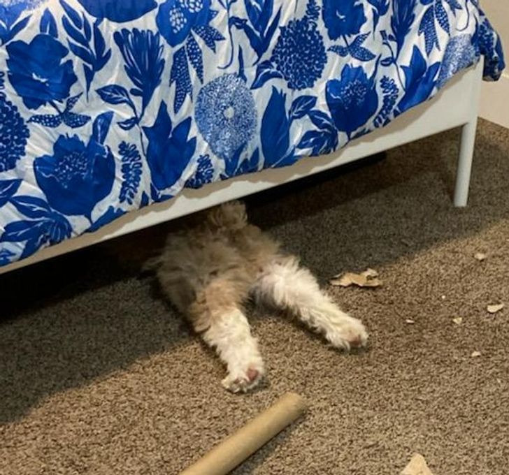 c2aac25694b0188c6b3ad7bd96