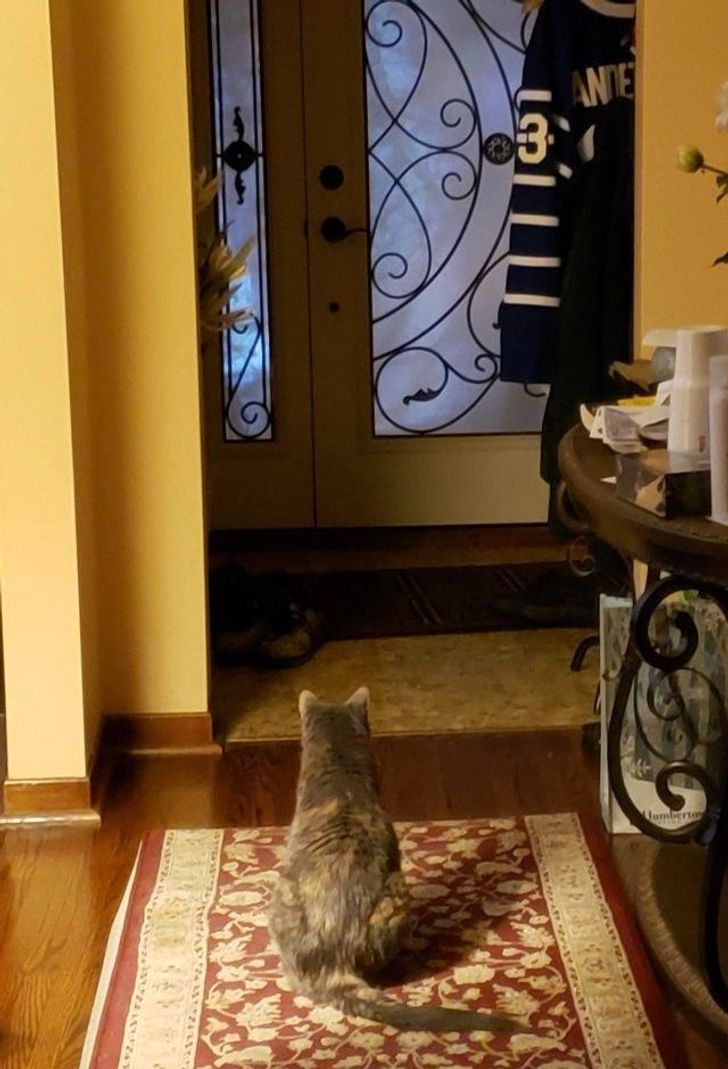 c2ae425d68ac02828e8c372136