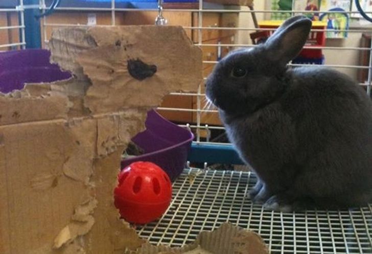 c2afc65a9c80ec6356e47beac1