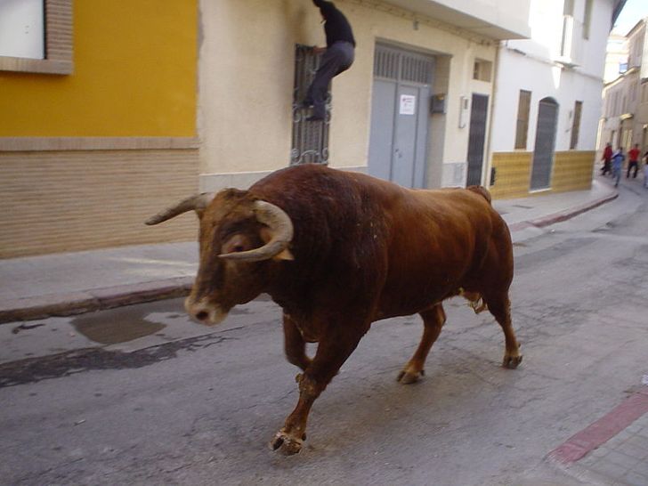 c2b53451628d2e3ccd0e66d590