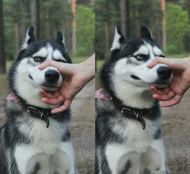 c2b9c756ca963ced6620dc7eeb