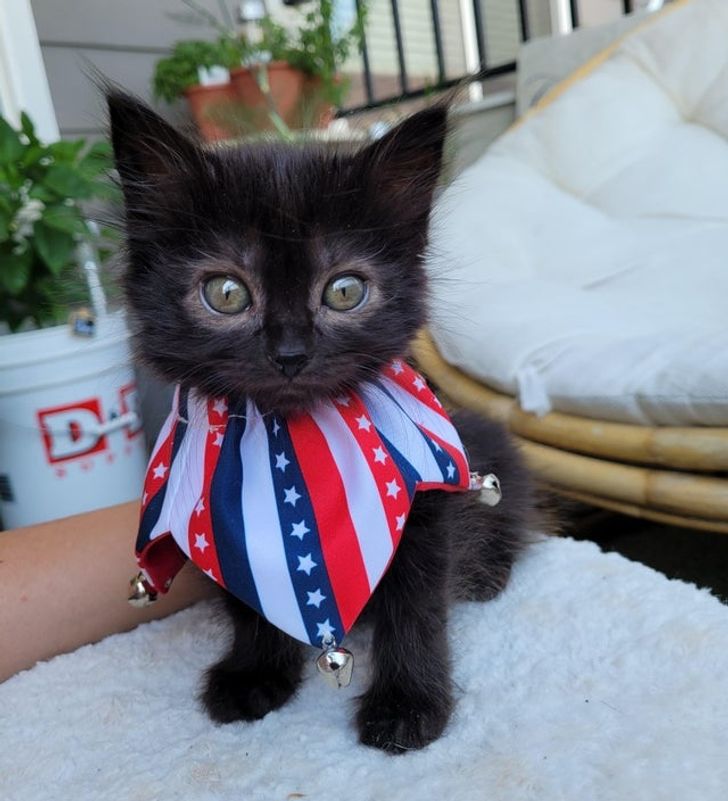 c2bf7a5c079bef30d974ebdc21 c2bf7a5c079bef30d974ebdc21