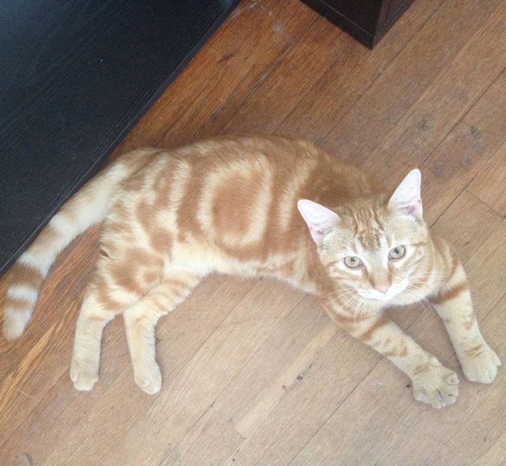 c2bfa852648ada99c0a2e16c7f