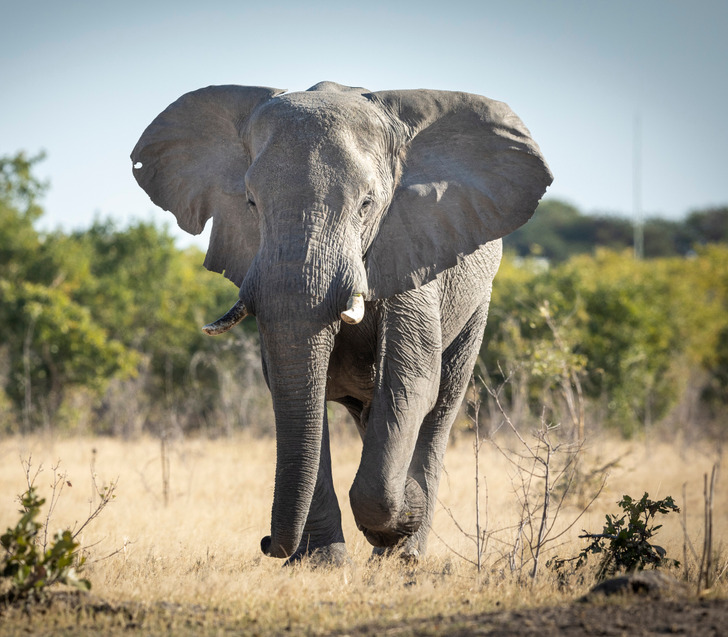 c2c85954cbb6e0efc94cbd0a78