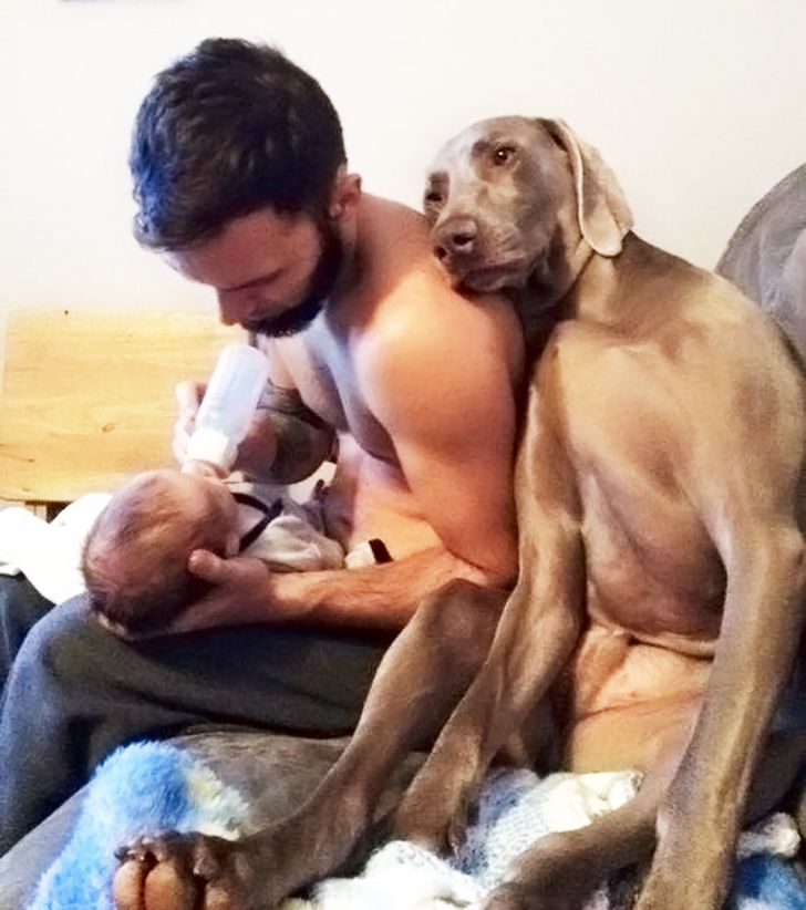 c2cded52ec94390b0ed82fcdaf