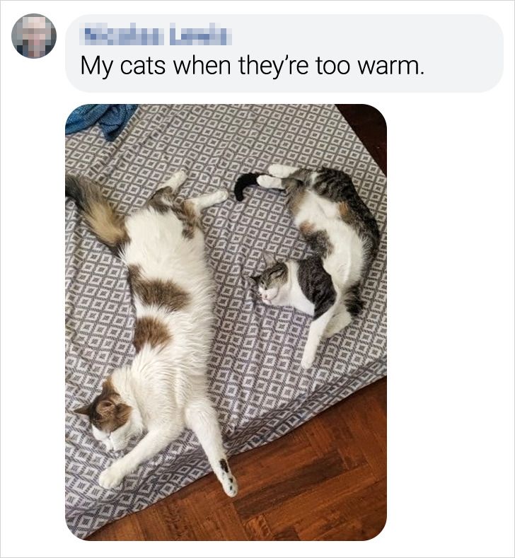 c2d1e2583ebdaf3363abc52135