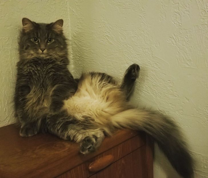 c2d4f65d578bd5e1d0f83049f6