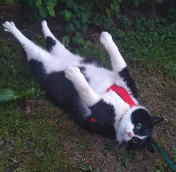 c2e3405a1997504c96d5c73ba8