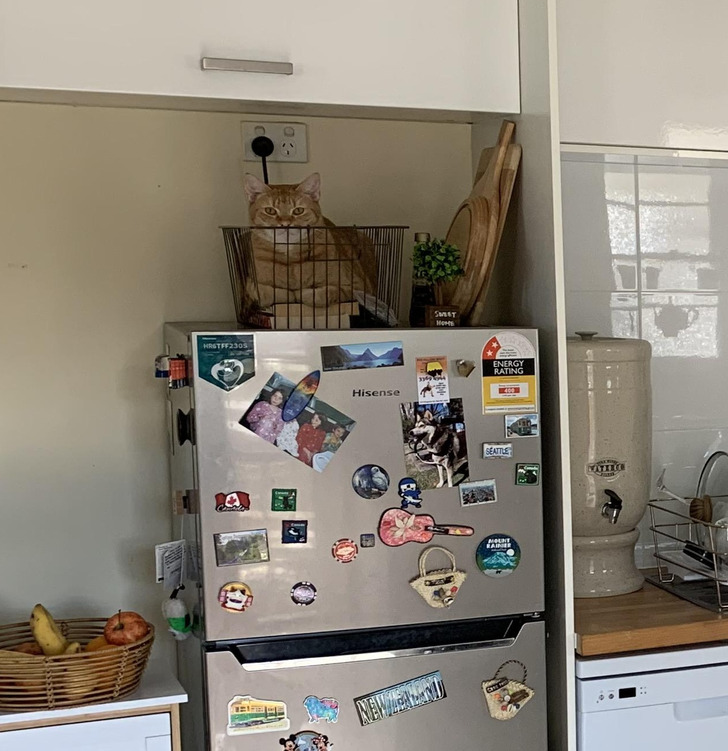 c2e79453fb9e218a72ce76dd11 c2e79453fb9e218a72ce76dd11