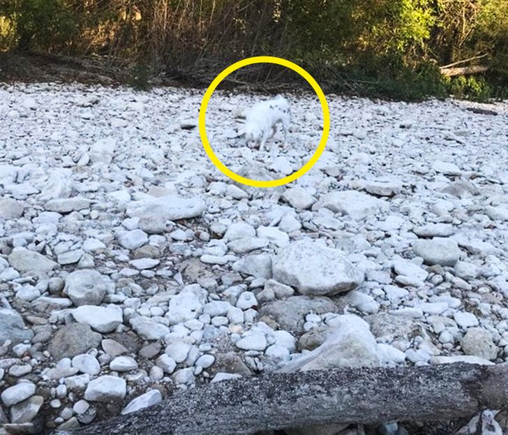 c2ea9c5f98ab7bc38dc2bee4b0