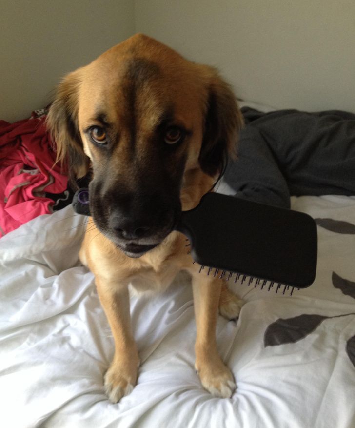 c2ef3a5e3f8ba8a2f5edf76a56