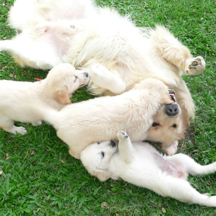 c2f0ac5d32a4940a3e278566d7 c2f0ac5d32a4940a3e278566d7