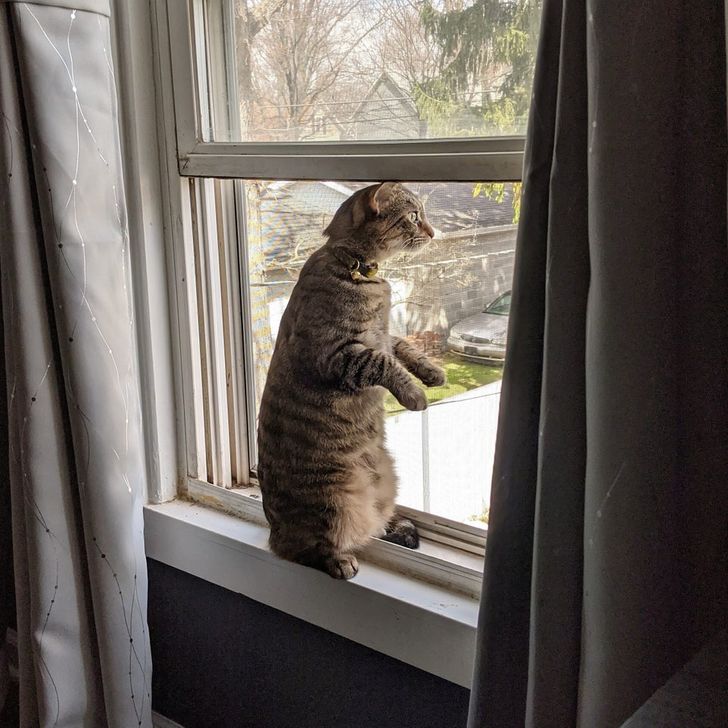 c2faf25cf7a53628e6afda6787 c2faf25cf7a53628e6afda6787