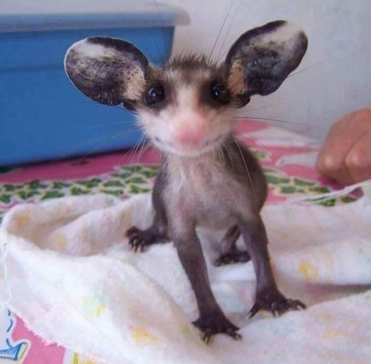 c304535548abb611ccc5903a4e