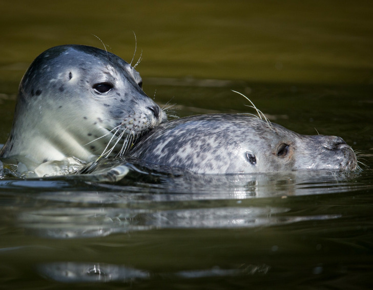 c30a0f5be1be5f85c30b4840d6