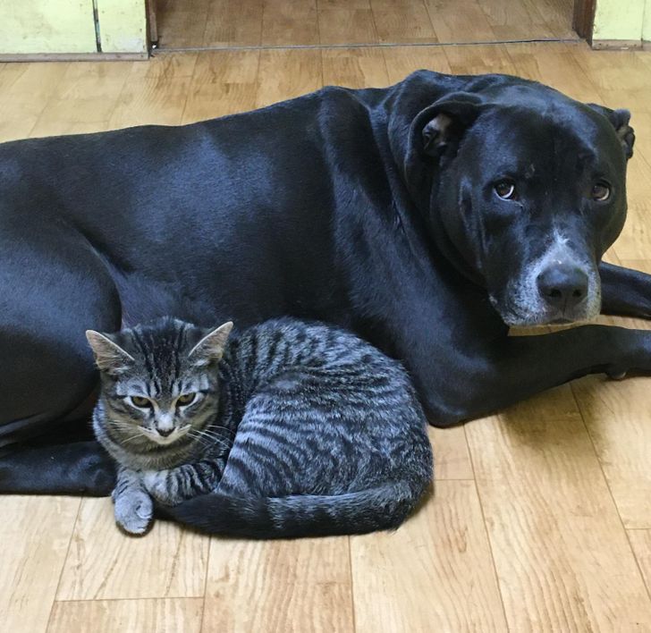 c30d8a5ddb96941f8b4d6649cd