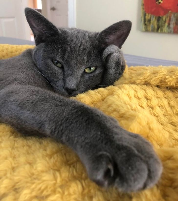 c31cdf5bc5a45db38dcf84a7b7