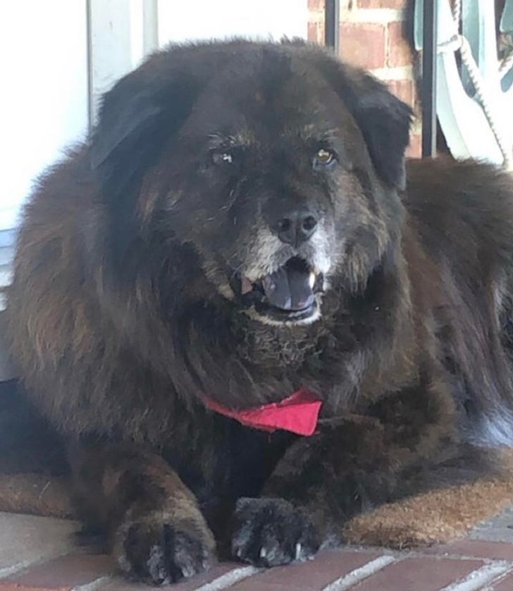 c32ec45465b2cdb0d5c6fa8b71