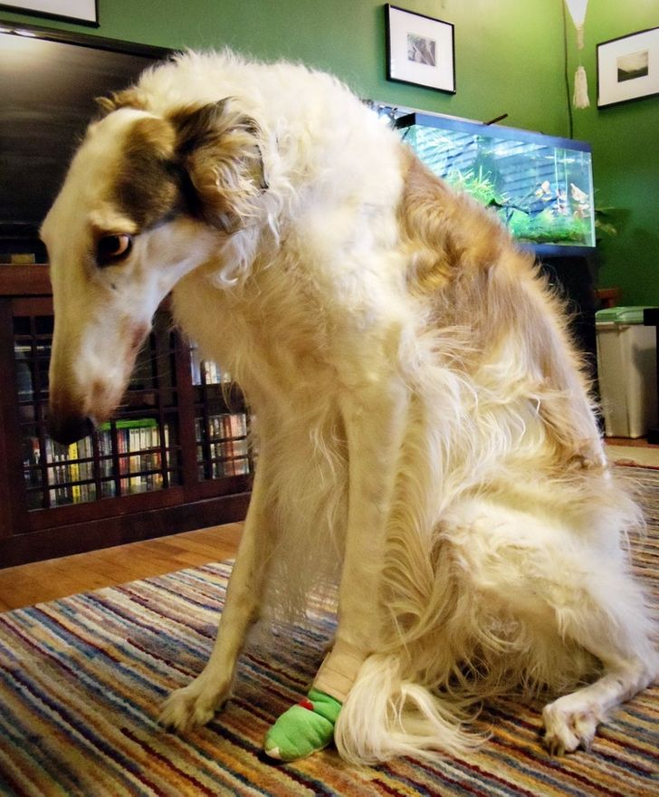 c3321d5dc89e462262e62eeaae