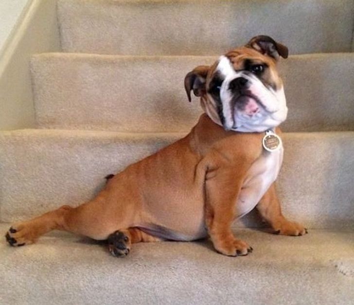 c3387b5e6d9d7b8c469bddc64f