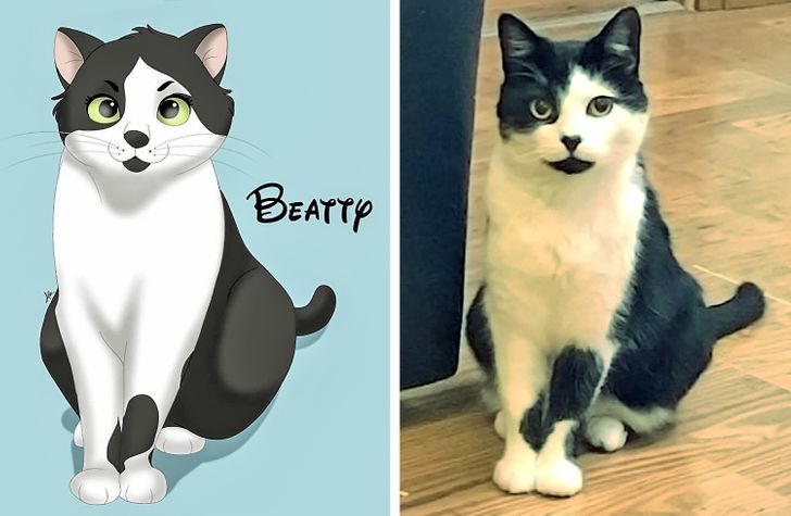 c347cf576ca28f06fa0e81aefe