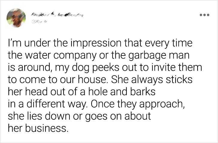 c3491a54649a25854d07b68ffe