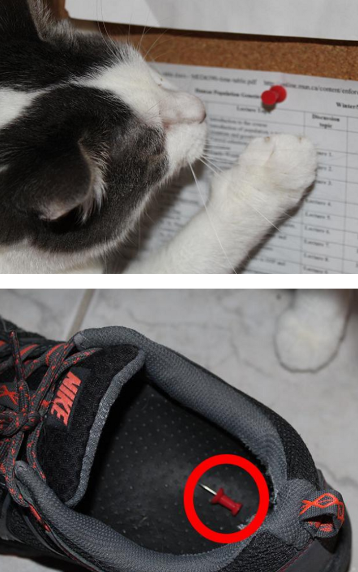 c3521d579e89bd46976095c5c4