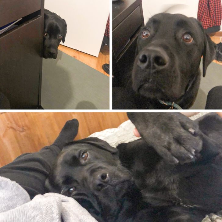 c3575e570f9de1ca47dc946ae6