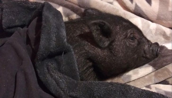 c35a3156bb82ddfa237ad07ef4