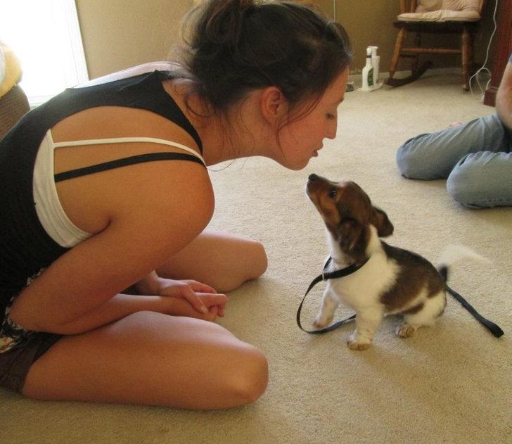 c35f7c58ac9540b65d97fcffbe