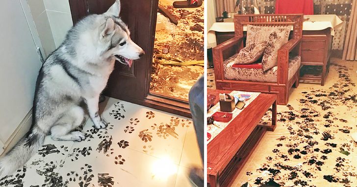 c366145ed7a9a80b2e0cd00a97 c366145ed7a9a80b2e0cd00a97