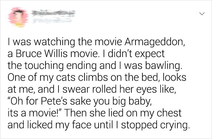 c37765539c9fd4b49d02600cdb