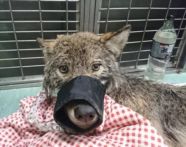 c382a751f8bf3df997d5d9b700