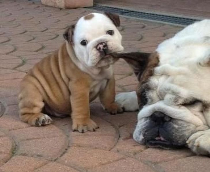 c389005b18b2f20fb3c94559b6