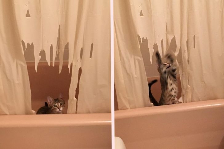 c38e8e5ea4821dfbeee7a0e4e6