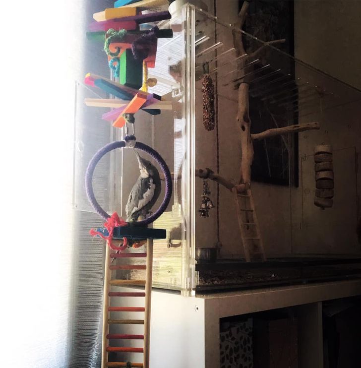 c38f97512cae11aaa7b73fba4e