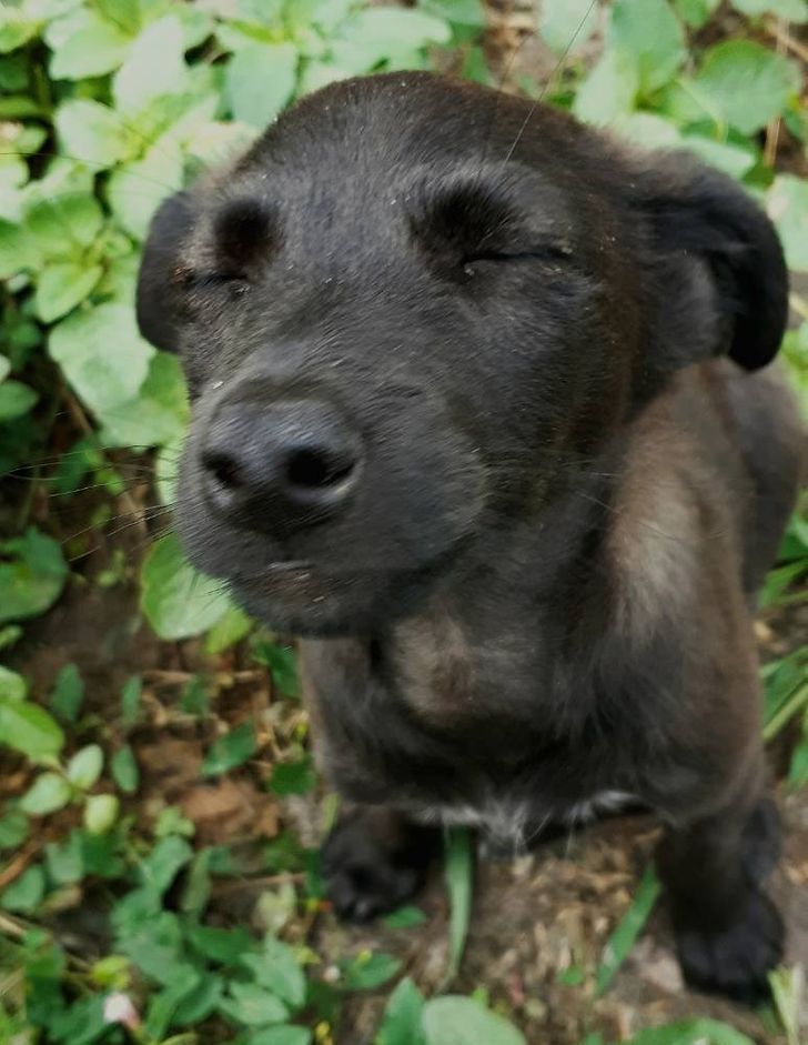 c398105155a11cc7815639a2c7