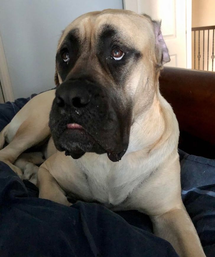 c39c9a521aa54fa65624e2110d