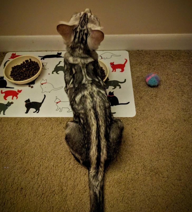 c39df5598385c971266e7d8a48