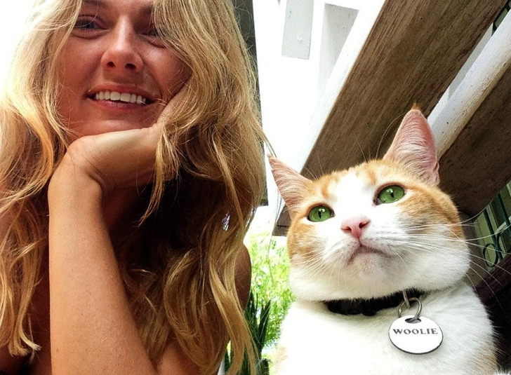 c3a5e55a84aca2e953f44278ed c3a5e55a84aca2e953f44278ed