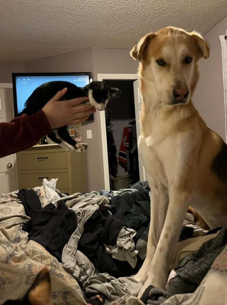 c3a9c45bf4adb7bbec18c81a03