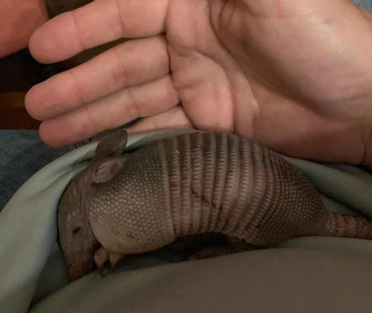 c3b7635f668b1be7a1ffee91e8