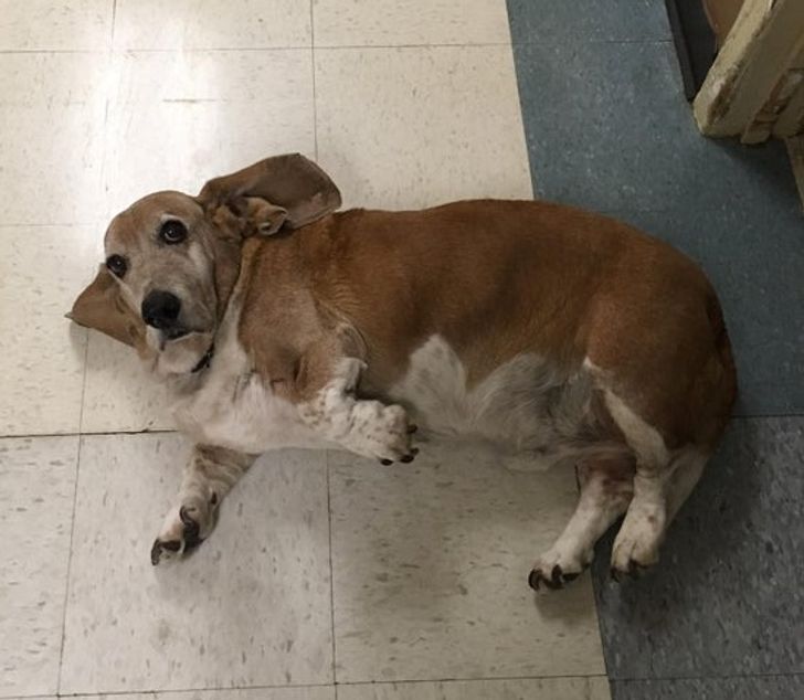 c3b78b52ae851c06a03f452bca