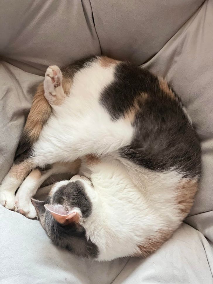 c3c08c543fbd551501b5300e4e