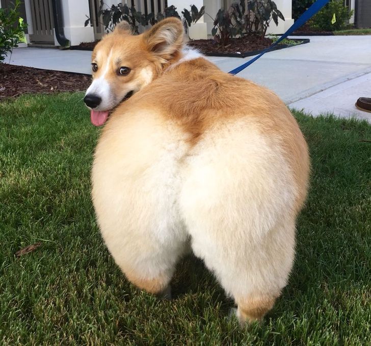 c3c2b75f58956ca57f241893b2